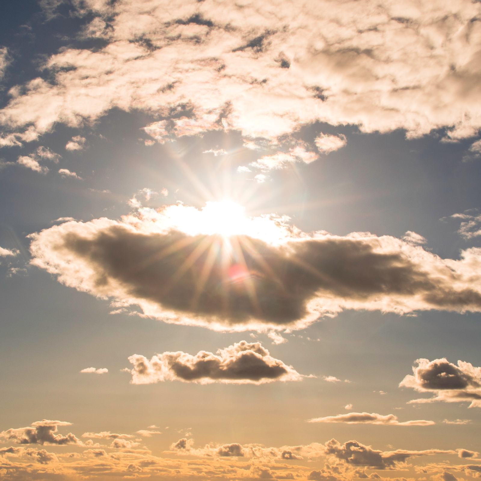 The Benefits of Vitamin D3
