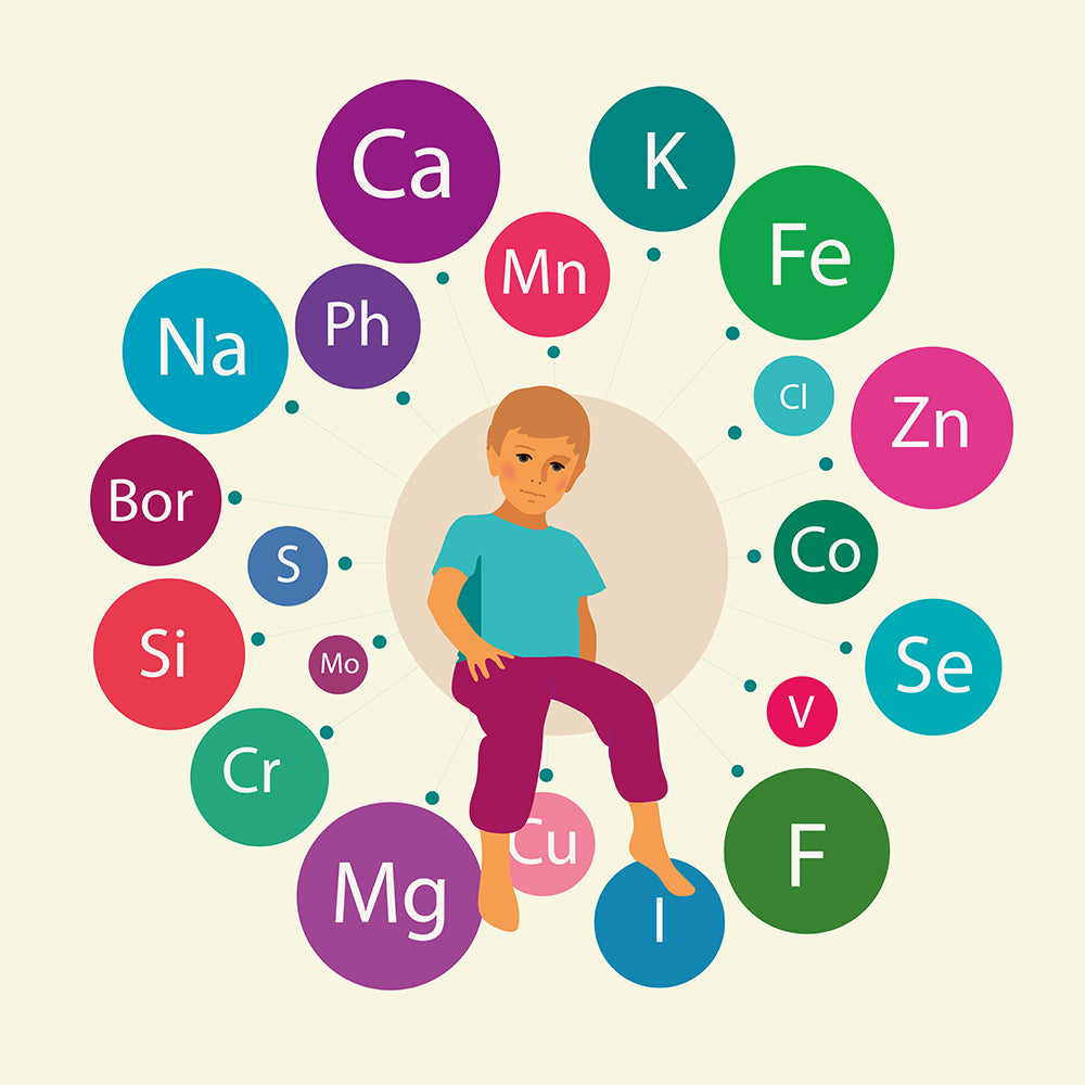 Micronutrients - The Forgotten Spark Plugs of Energy