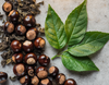 Tea leaves and buds on a textured surface with a light background
