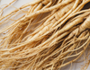 Ginseng roots on a light background